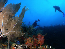 joel and patricia working out his photographer skills  at... by Victor J. Lasanta 